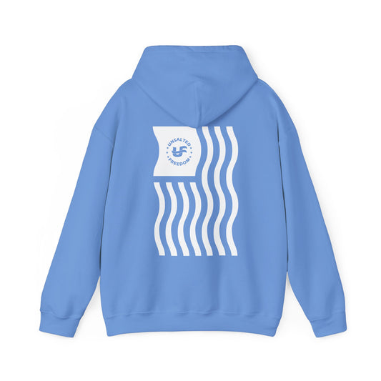 Unsalted Freedom Flag Classic Hoodie (Unisex)